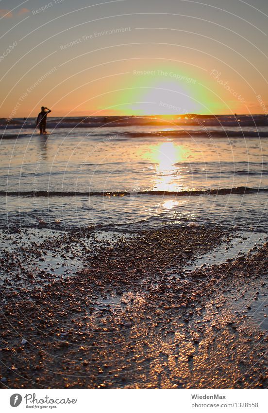 Sonnenuntergang am Atlantik Ferne Freiheit Sommerurlaub Strand Meer Wellen Schwimmen & Baden Surfen Mensch 1 18-30 Jahre Jugendliche Erwachsene Sonnenaufgang