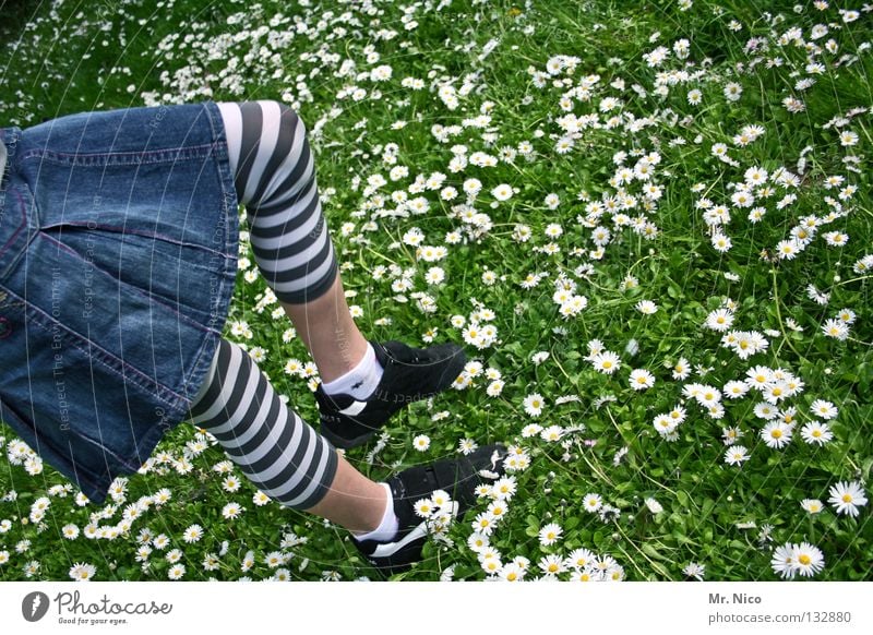 Grashüpfer Mädchen Schuhe Gänseblümchen Wiese Jeansrock gestreift sommerlich Blume Blüte springen hüpfen gehen treten weiß grün gelb Turnen Frühling Kind Freude