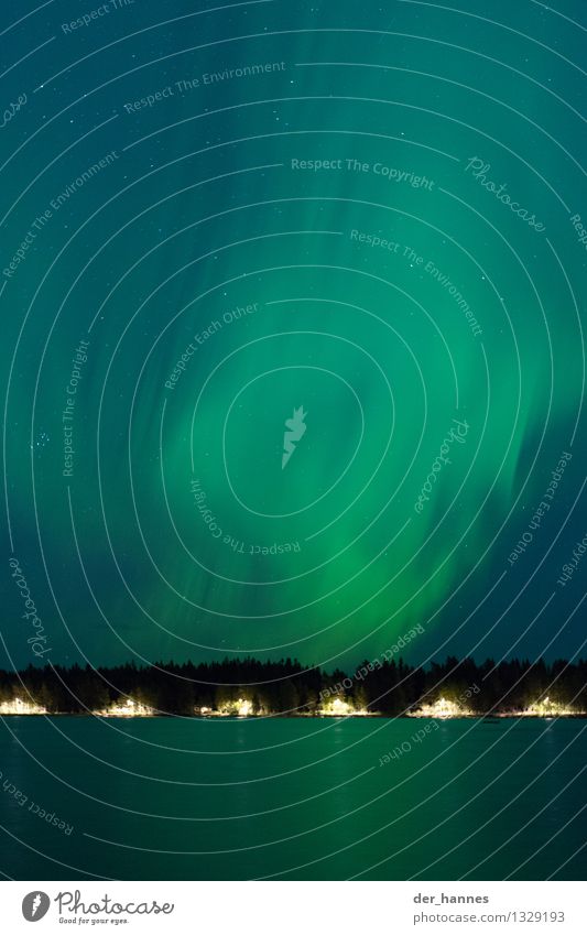 aurora.110 Umwelt Natur Landschaft Himmel Wolkenloser Himmel Nachthimmel Stern Wald Seeufer außergewöhnlich dunkel elegant fantastisch Unendlichkeit schön blau