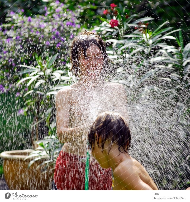 spritzig Freude Spielen Sommer Mensch maskulin Kind 2 13-18 Jahre Jugendliche Wasser Wassertropfen Schönes Wetter Garten Brunft lachen toben frech Fröhlichkeit