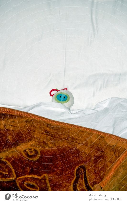schlaf! Bodo schlaf! Raum Schlafzimmer 1 Tier liegen schlafen klein blau braun weiß Außerirdischer Schlüsselanhänger Stofftiere Marokko Decke Bett Blick Kopf