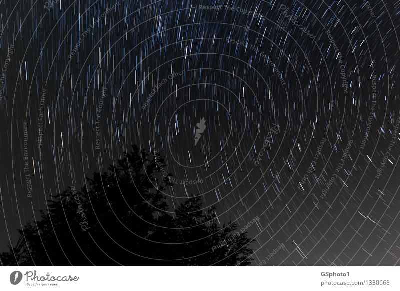Sternstreifen Himmel Schönes Wetter glänzend blau schwarz weiß Sternbahnen Lichtstreifen Sternkreise Baum Farbfoto Außenaufnahme Nacht Silhouette