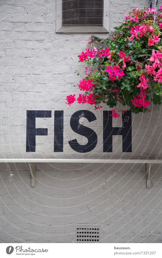 fish. Lebensmittel Fisch Ernährung Abendessen Festessen Bioprodukte Gesundheit Ferien & Urlaub & Reisen Städtereise Restaurant Essen Blume Blüte Bauwerk Gebäude