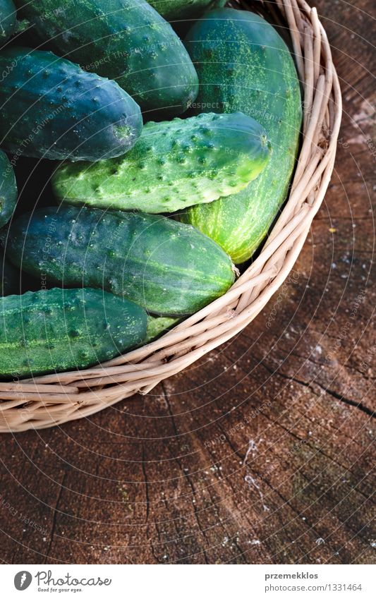 Gurken im Weidenkorb Lebensmittel Gemüse Gesundheit Gesunde Ernährung Sommer Garten frisch natürlich grün Korb Textfreiraum Salatgurke Feld organisch rustikal