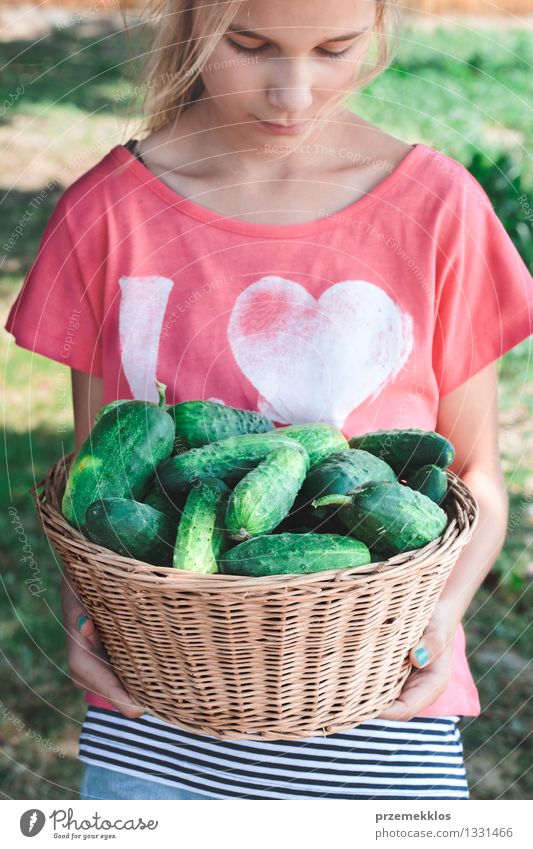 Mädchen, das Weidenkorb mit Gurken trägt Gemüse Lifestyle Sommer Garten Mensch 1 8-13 Jahre Kind Kindheit Natur frisch natürlich grün anstrengen Korb Salatgurke
