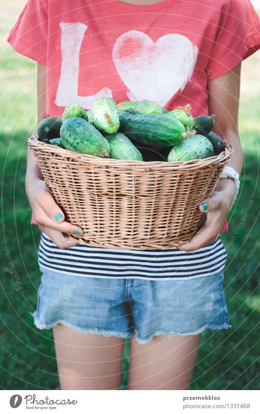 Mädchen, das Weidenkorb mit Gurken trägt Gemüse Bioprodukte Lifestyle Gesundheit Gesunde Ernährung Sommer Garten Kind Mensch 1 8-13 Jahre Kindheit frisch