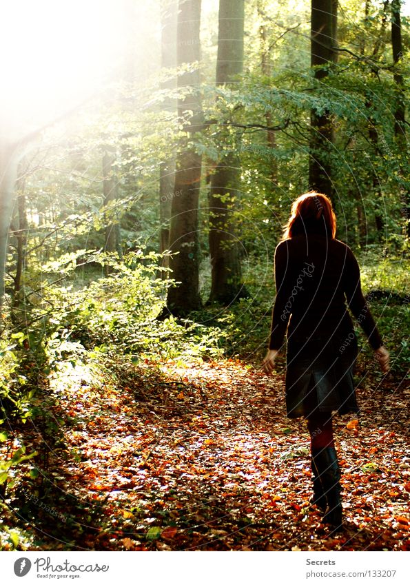 Spaziergang ruhig Einsamkeit Licht Herbst Geborgenheit Vertrauen Gedanke Farbenspiel im Wald der Weg Leben Freiheit junges Mädchen