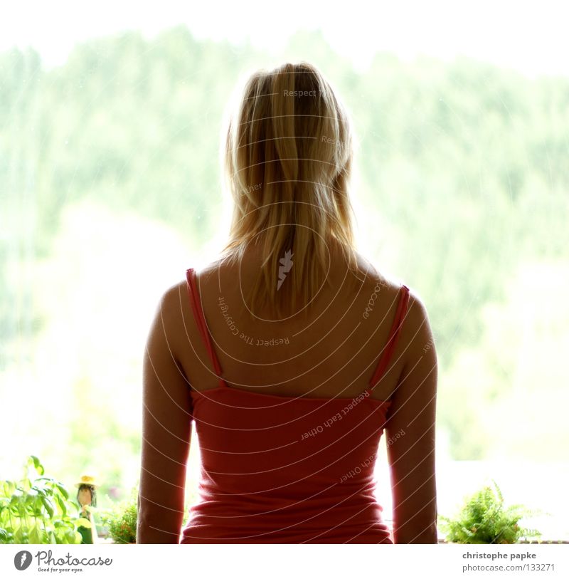 Das Fenster zum Sommer schön Haare & Frisuren Erholung Frau Erwachsene Rücken Natur Pflanze Wärme blond Denken entdecken heiß Neugier Langeweile Top Schulter