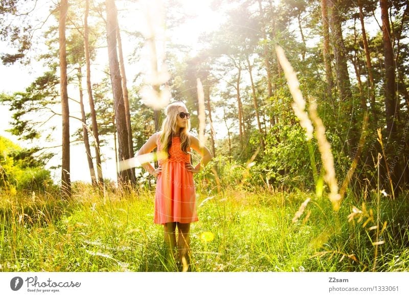 Ein Mädchen steht im Walde elegant Ausflug Sommer feminin Junge Frau Jugendliche 1 Mensch 18-30 Jahre Erwachsene Natur Schönes Wetter Gras Mode Kleid
