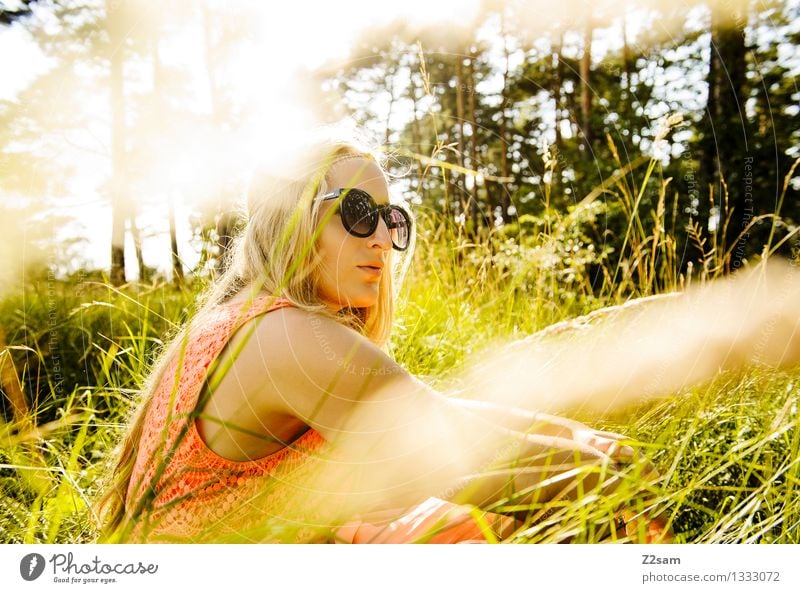 Wiesenpause elegant Sommer feminin Junge Frau Jugendliche 1 Mensch 18-30 Jahre Erwachsene Natur Sonne Schönes Wetter Baum Gras Wald Mode Kleid Sonnenbrille