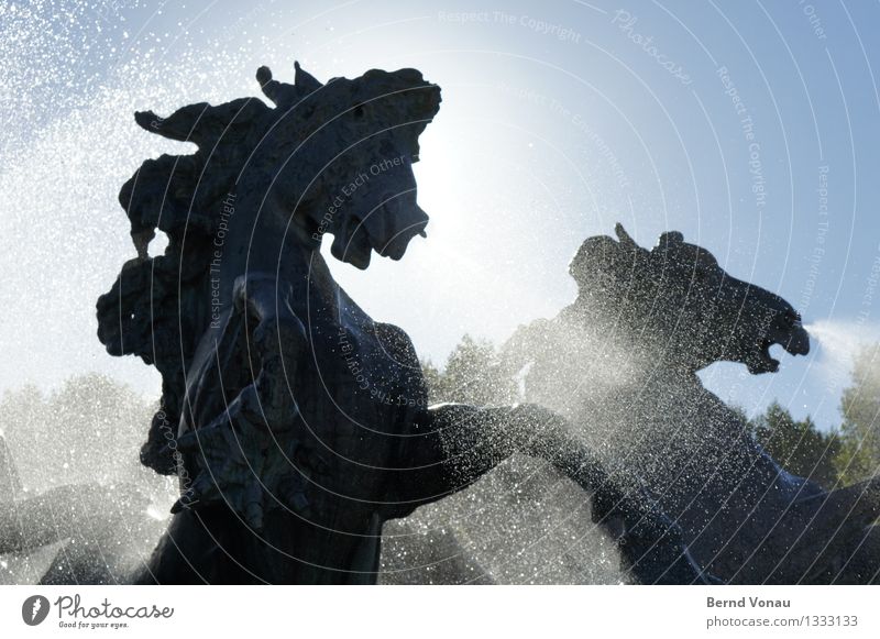 zügellos Ferien & Urlaub & Reisen Sonne Kunst Skulptur Kultur Wasser Stadt Wildtier Pferd hell blau Bordeaux Frankreich Brunnen Aufregung Mähne Maul spritzen