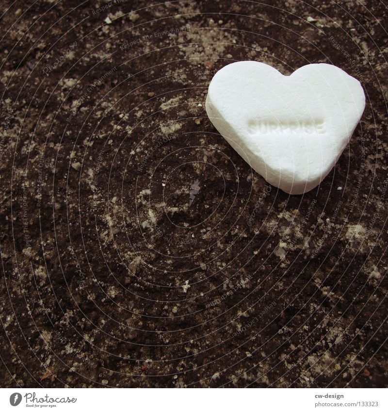 LONELY HEART Süßwaren Herz herzförmig weiß Makroaufnahme süß Liebe Hintergrund neutral Textfreiraum unten Textfreiraum links lecker 1 einzeln Bonbon