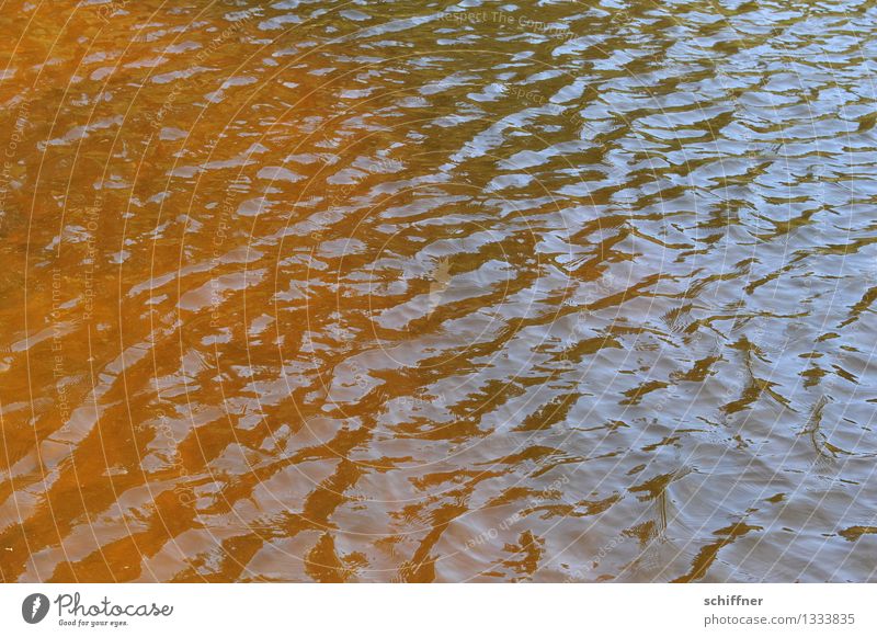 Stille Wasser Wellen Seeufer Teich blau braun gold Gewässer Flüssigkeit Hintergrundbild Wellengang Außenaufnahme