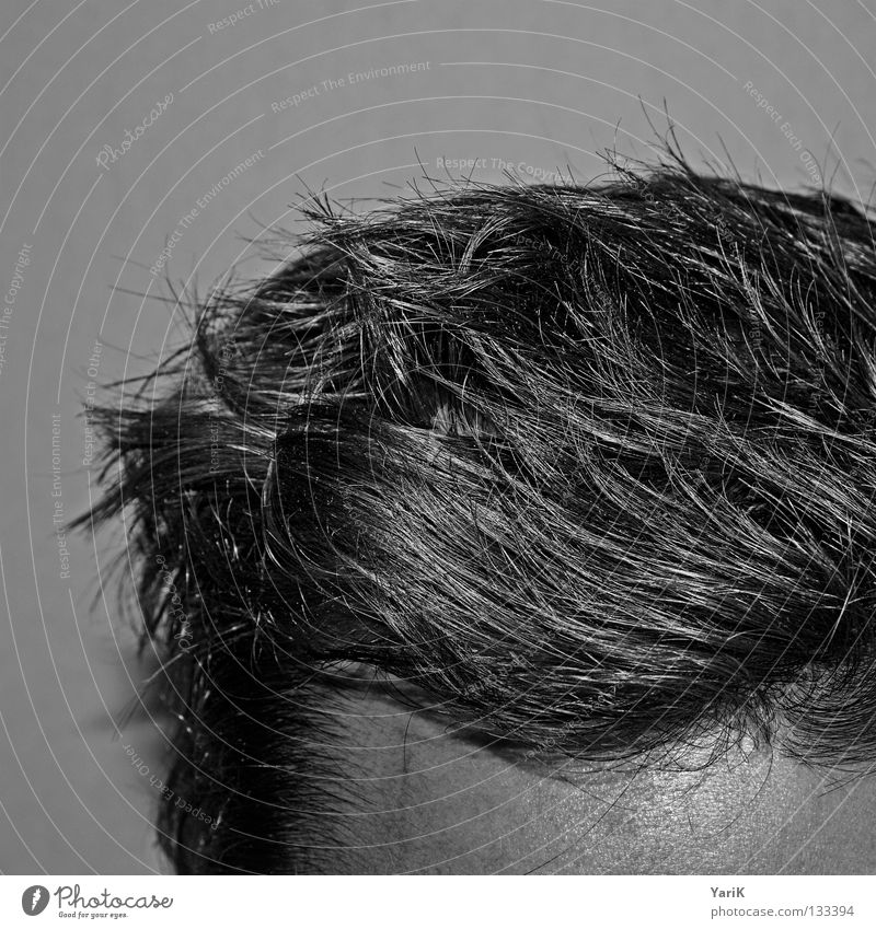 aufgewacht Stirn Haare & Frisuren geschnitten Haarschnitt Mann grau dünn durcheinander Igel Morgen aufstehen aufwachen Stil Haaransatz Haarwaschmittel