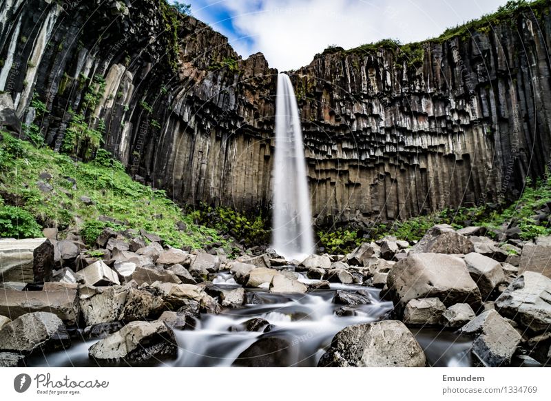 Svartifoss Ferien & Urlaub & Reisen Tourismus Ferne Sightseeing Wasserfall Island natürlich wild Basalt Felsen Vulkangestein Farbfoto Außenaufnahme Menschenleer