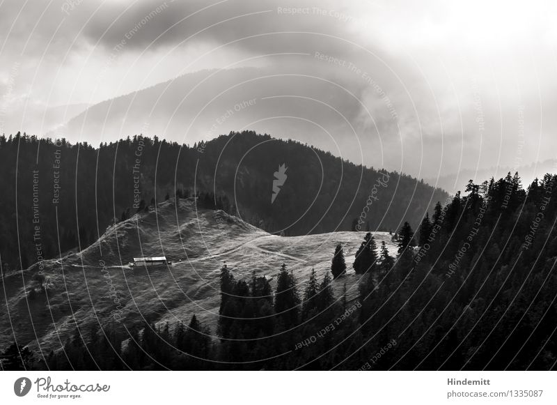 Lichtblicke Umwelt Natur Landschaft Urelemente Wolken Herbst Klima Wetter schlechtes Wetter Nebel Baum Wald Hügel Alpen Berge u. Gebirge Haus Hütte Bewegung