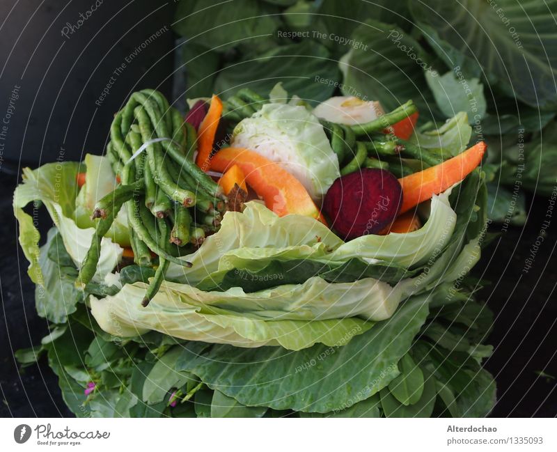 Suppengemüse Gemüse Eintopf Vegetarische Ernährung Gesunde Ernährung Diät Essen Fitness frisch Gesundheit lecker nachhaltig natürlich dünn grün orange