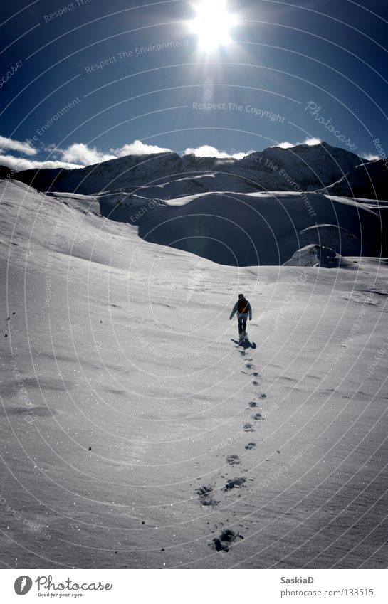 Unerreichbar Schweiz unberührt wandern Winter Wintersport Schnee Alpen Mensch Einsamkeit Sonne Natur Spuren Bergwanderung