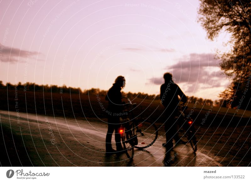 stalemate Sonnenuntergang Wolken Baum Feld Aussicht Asphalt Fahrrad fahren treten Licht ruhig Erholung Gelassenheit Pause Zusammenhalt Nachtaufnahme