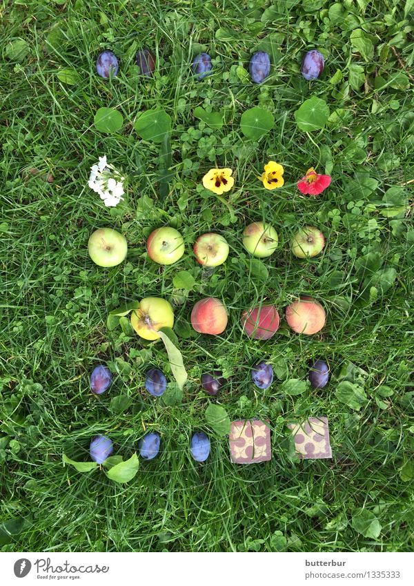 Hübsches Fallobst auf Wiese Lebensmittel Frucht Apfel Pflaume Pfirsich Kapuzinerkresse Ernährung Picknick Bioprodukte Natur Landschaft Tier Sommer Herbst