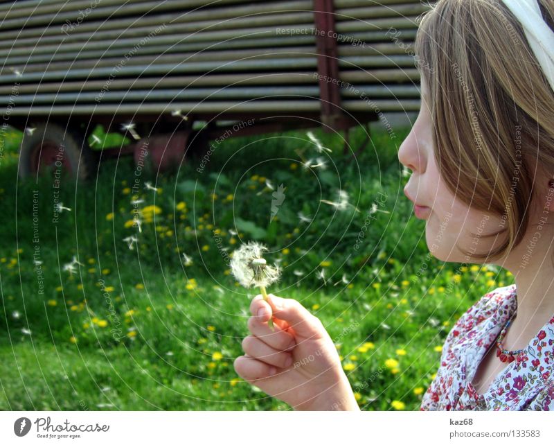 naturkind Seifenblase rund blasen Fröhlichkeit mehrfarbig Luft schwarz Laune Hintergrundbild Holz Spielen Aktion Mädchen blond Jugendliche Kind Freizeit & Hobby