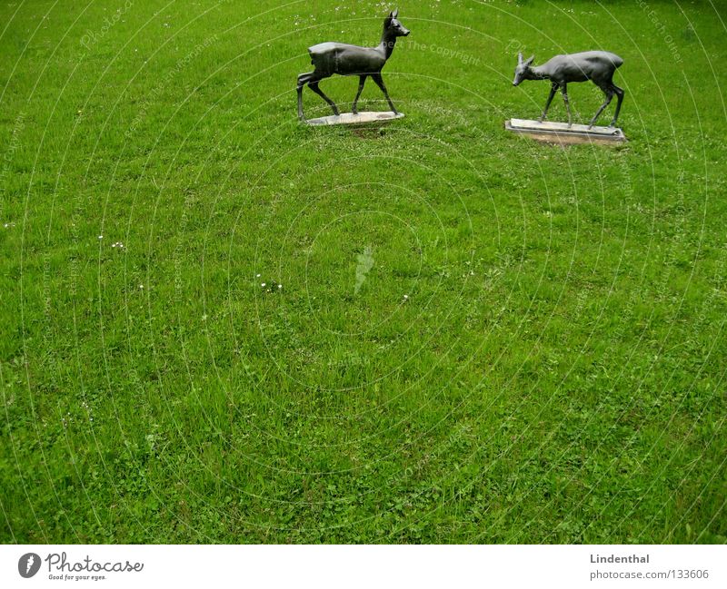 zwei ganze Rehe Bronze Bock Wiese Fressen Statue bewegungslos Säugetier Wildtier Metall Regen