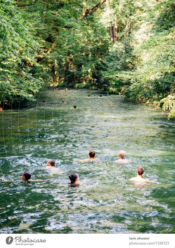 Fluss schwimmen Mensch Familie & Verwandtschaft Freundschaft Menschengruppe 18-30 Jahre Jugendliche Erwachsene Umwelt Natur Pflanze Wasser Schönes Wetter Baum