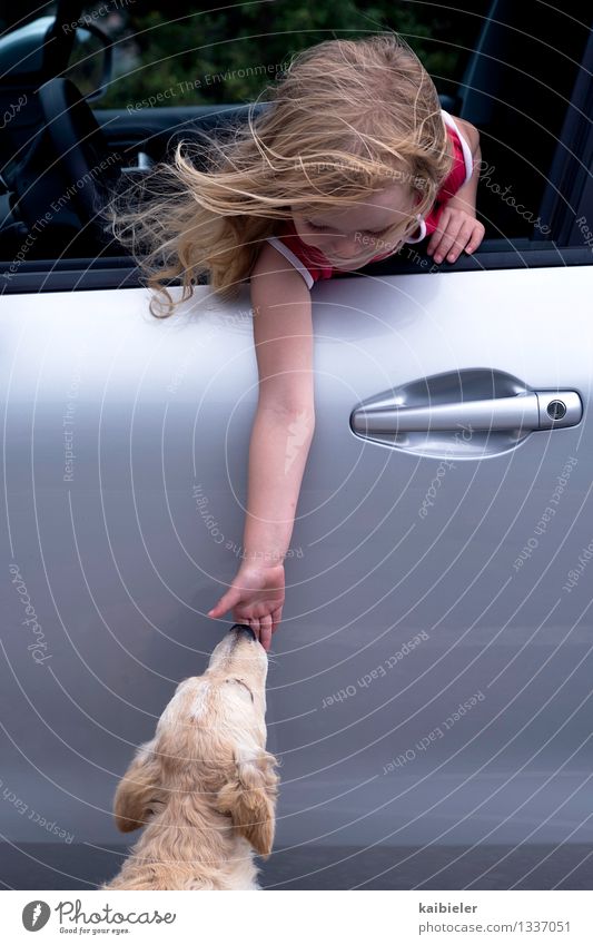 Kontaktaufnahme Mensch feminin Kind Mädchen 1 3-8 Jahre Kindheit PKW blond Tier Haustier Hund berühren füttern positiv Freude Akzeptanz Vertrauen Sympathie