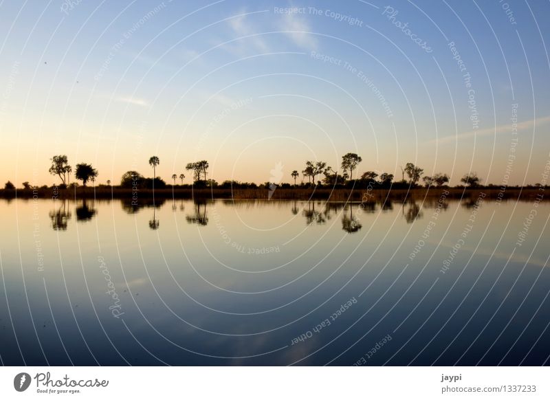 Symmetrie Natur Landschaft Wasser Himmel Wolken Horizont Sonnenaufgang Sonnenuntergang Baum Sträucher Flussufer Okavango Delta Palme Spiegelbild Außenaufnahme