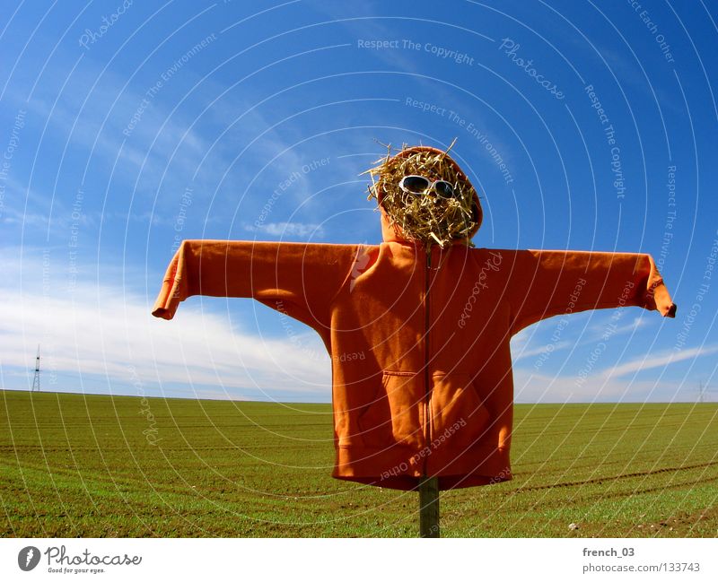 partiell orange Vogelscheuche hässlich Kapuze Feld Pullover Jubiläum 100 Stroh Sonnenbrille Wolken Himmel Brille Holz Geister u. Gespenster gruselig Einsamkeit