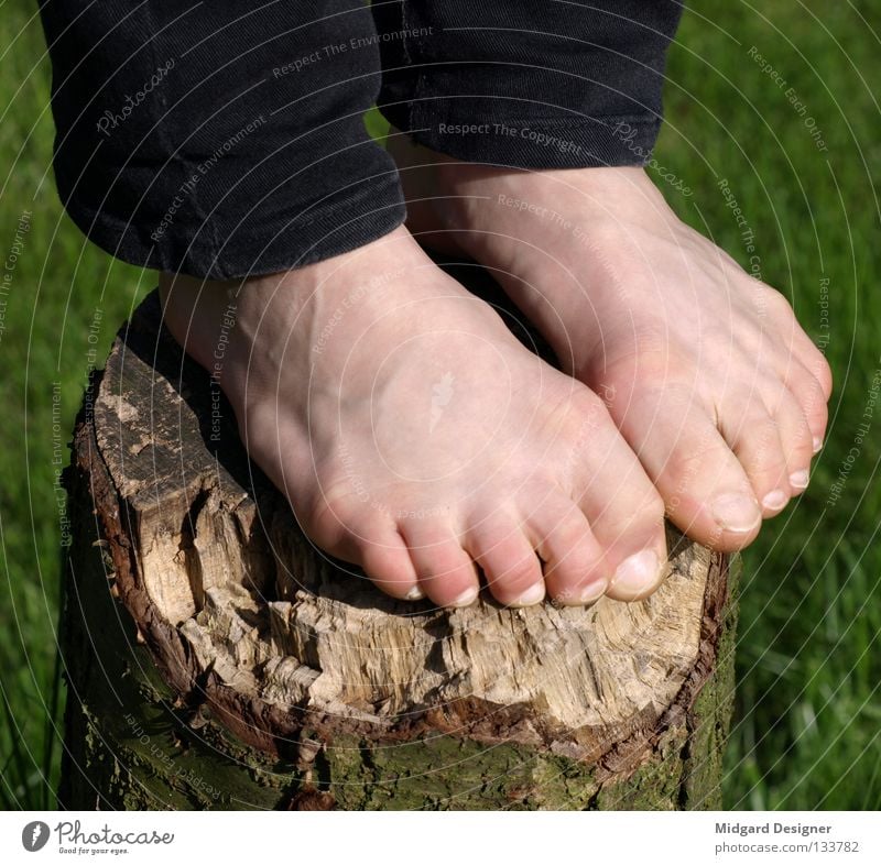 Baumstand Haut Mensch Junge Frau Jugendliche Leben Beine Fuß 1 18-30 Jahre Erwachsene Hose Holz stehen grün Baumstamm Baumrinde Zehen Barfuß Rasen hoch