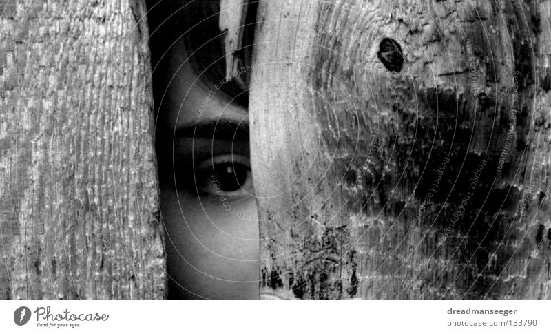 suche Holz schwarz weiß nah Suche spionieren Schwarzweißfoto Auge Maserung Holzbrett Spalte lunzen Blick woanders