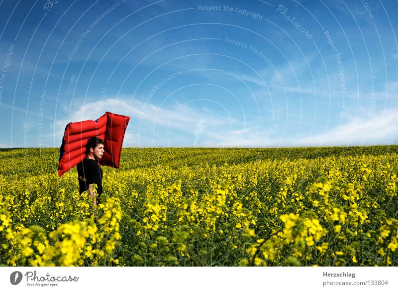 Dem Sommer entgegen Rapsfeld Freibad gelb rot Physik heiß Frau Sonnenlicht Zufriedenheit Luftmatratze Farbe blau Himmel Wärme Freude Glück
