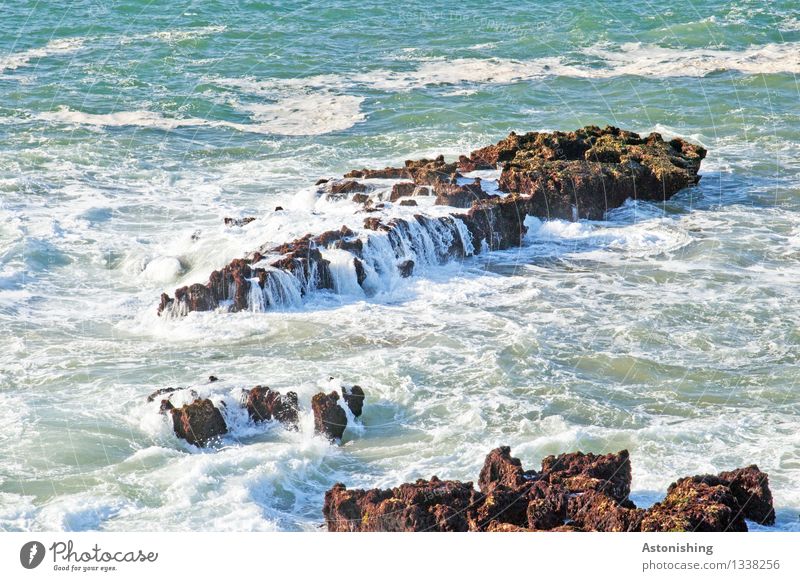 Flut Umwelt Natur Landschaft Wasser Wassertropfen Sommer Wetter Schönes Wetter Wärme Felsen Wellen Küste Bucht Meer Atlantik Insel Essaouira Marokko Stein blau