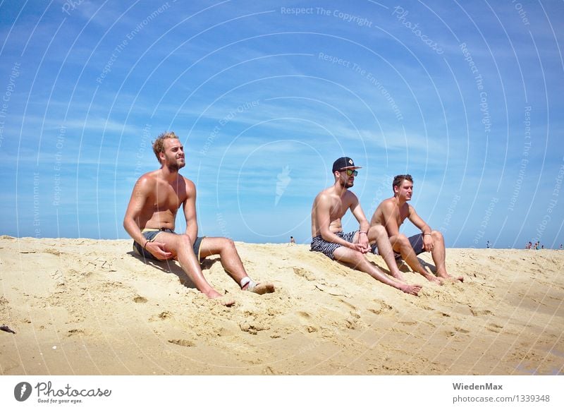3 Jungs am Strand Sommer Sommerurlaub Sonne Sonnenbad maskulin Freundschaft Mensch 18-30 Jahre Jugendliche Erwachsene Schönes Wetter Meer Atlantik Badehose
