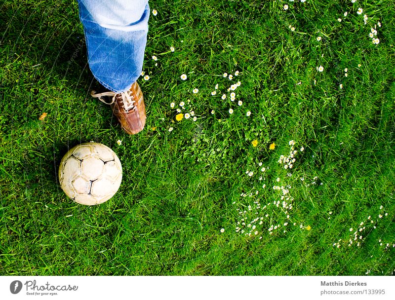 Falsche Ausrüstung Ballsport Sommer Wiese Gänseblümchen Pflanze grün Grünstich Hose Jeanshose Schuhe Lederschuhe Fußball Freizeit & Hobby spontan Sport Luft