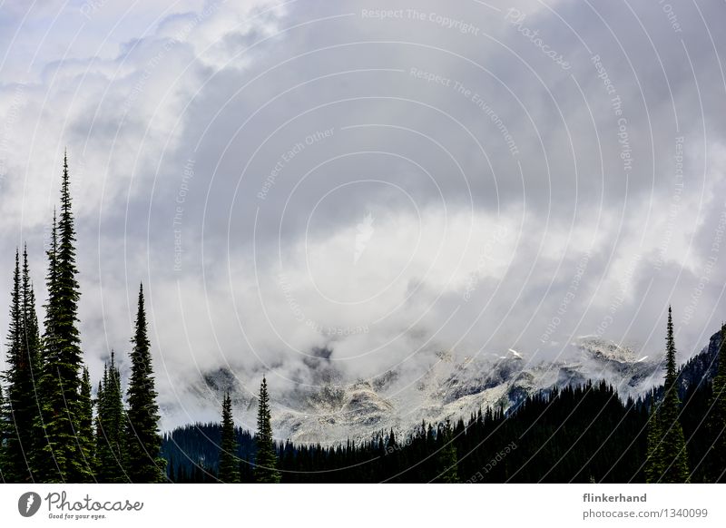 wolkenverhangen Natur Landschaft Klima schlechtes Wetter Nebel Berge u. Gebirge Gipfel Schneebedeckte Gipfel Kanada Rocky Mountains Nordamerika Ferne Wolken