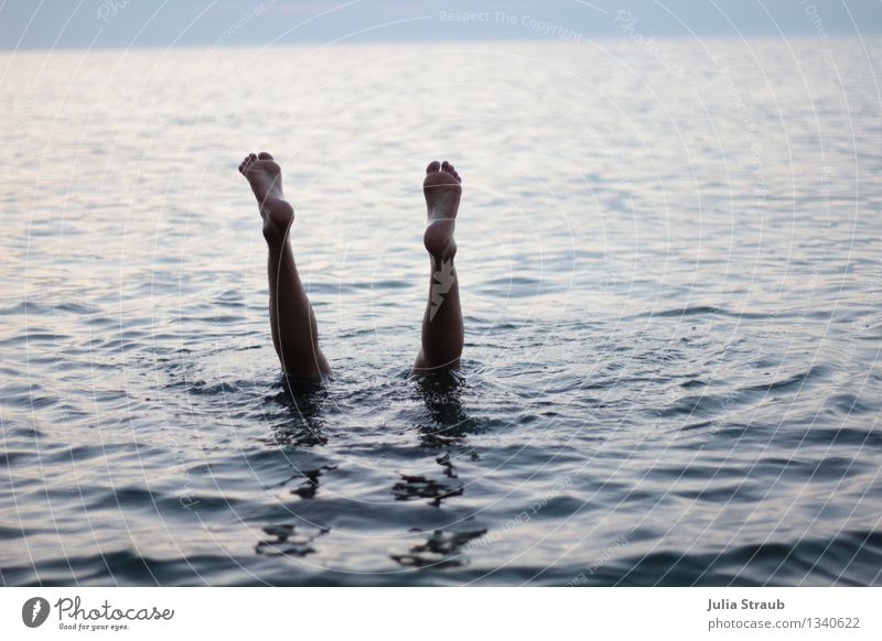 abtauchen maskulin Beine Fuß 1 Mensch 30-45 Jahre Erwachsene Wasser Sommer Meer Schwimmen & Baden blau schwarz Kopfstand Außenaufnahme Dämmerung