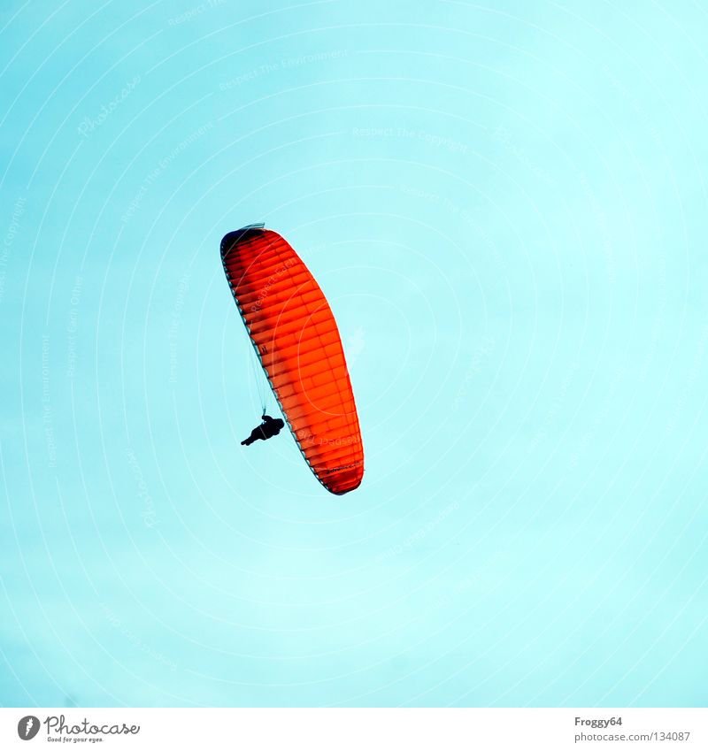 Hoch hinaus Gleitschirm Luft Wolken Pilot schwarz Schauinsland Vogel Freude Freizeit & Hobby Extremsport fliegen Luftverkehr Himmel blau orange Wind Wetter