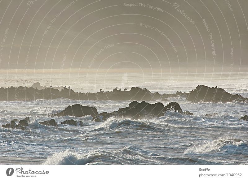 das Licht der schottischen Bucht Schottland Nordsee maritim nordisch nordische Natur schottische Natur poetisch Nordseeküste Nebel nebelig neblig Meeresrauschen