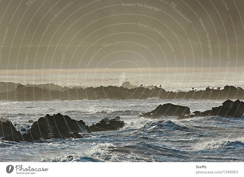 die schottische Bucht Nordsee Schottland nordische Romantik maritim nordische Natur nordisches Licht Lichtschimmer Lichtschein besonderes Licht romantisch
