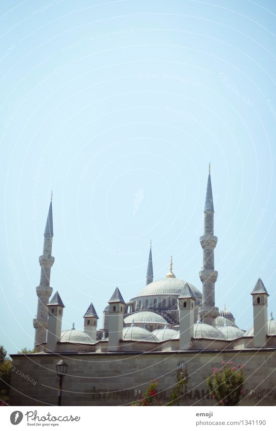 Moschee Stadt Hauptstadt Stadtzentrum Sehenswürdigkeit Wahrzeichen Denkmal außergewöhnlich blau Istanbul Farbfoto Außenaufnahme Menschenleer Textfreiraum oben