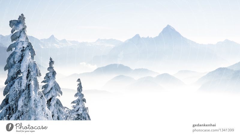 Ein Hauch von Winter Umwelt Natur Landschaft Horizont Alpen Berge u. Gebirge Schneebedeckte Gipfel Gletscher Coolness kalt Glück Optimismus ruhig Aussicht