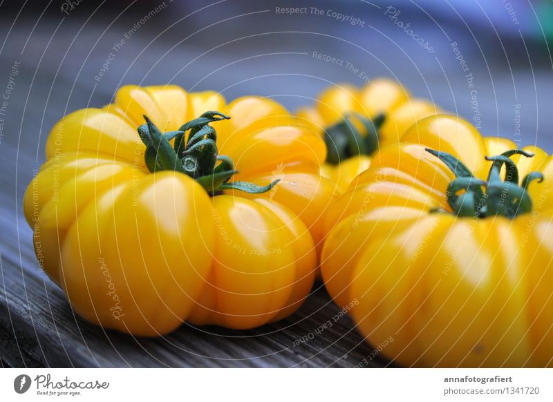 Gelbe Tomaten Natur Sommer frisch gelb Gartenarbeit Ernte Erntedankfest Farbfoto Detailaufnahme Tag