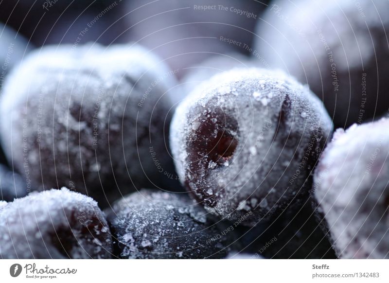 Wintervorrat an Kirschen Vorrat gefrorenes Essen Lebensmittel Dessert Früchte Obst Tiefkühlkost aufbewahren hamstern einfrieren eingefroren Nahrungsmittel