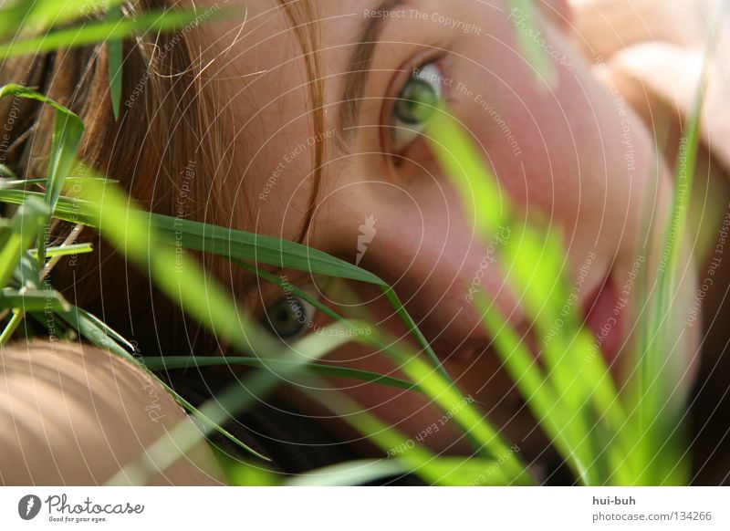 Morgenstund hat Gold im Mund Gras Wiese Frühling Pflanze Umwelt grinsen grün Sommer Physik aufwachen Frau Porträt Selbstportrait Picknick Sonnenstrahlen grass