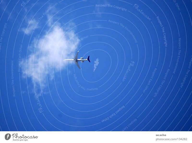 Und weg! Flugzeug Passagierflugzeug Wolken Himmel weiß Luftverkehr Ferien & Urlaub & Reisen Firmament blau