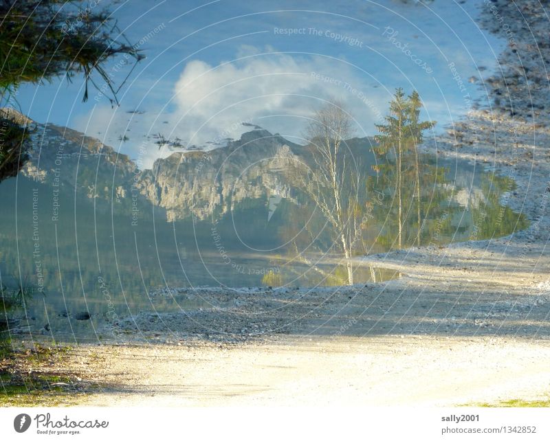 Karwendel im Spiegel... Natur Erde Herbst Schönes Wetter Baum Felsen Berge u. Gebirge Alpen wandern fantastisch natürlich bizarr Einsamkeit Idylle stagnierend