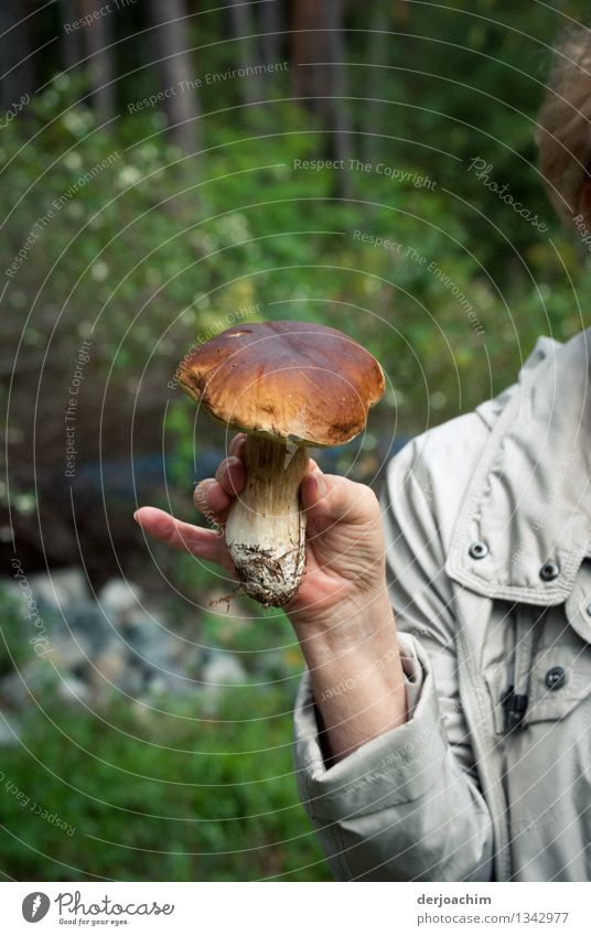 Gefunden , Wunderschöner Stein - Pilz den eine Frauenhand in der Hand hoch hält. Vegetarische Ernährung Glück Gesunde Ernährung Zufriedenheit Ausflug wandern