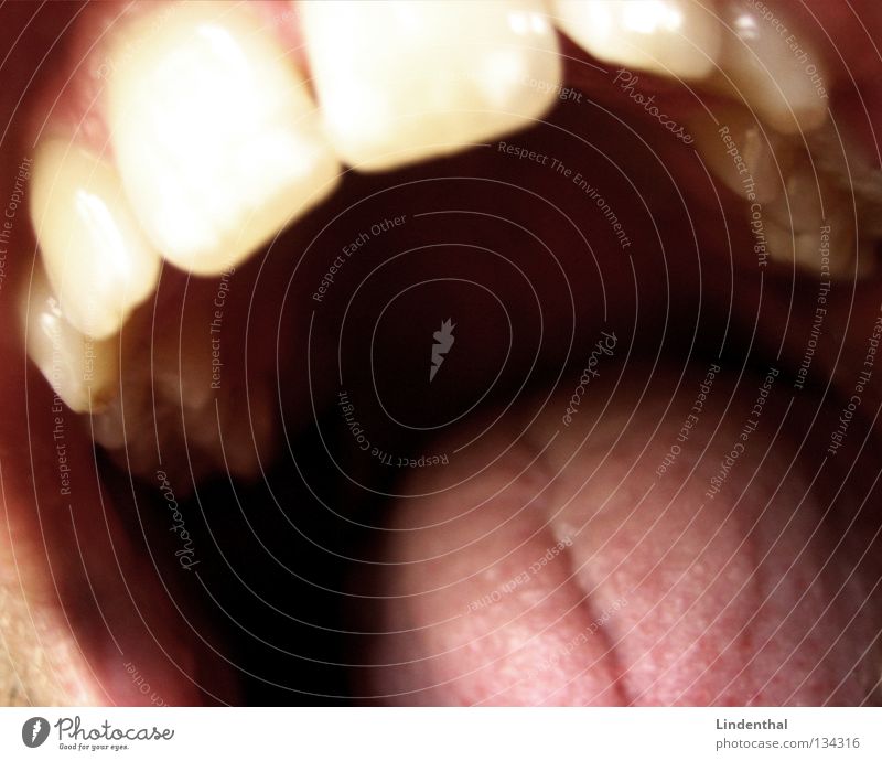 EATING YOU Fressen Gesundheit Ernährung Zahnlücke Rachen Vampir Angst Panik Mund Hals Natur dich Zunge kanibal Spitze Zähne